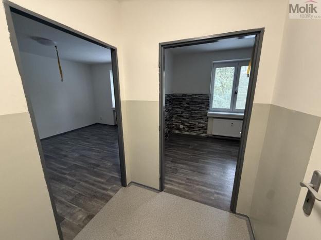 Pronájem bytu 1+1, Most, Lesní, 30 m2