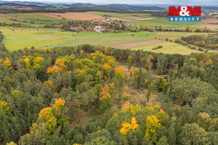 Prodej lesa, Ježovy - Trnčí, 39171 m2