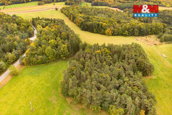 Prodej lesa, Ježovy - Trnčí, 39171 m2