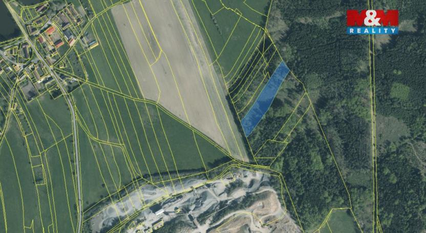 Prodej lesa, Ježovy - Trnčí, 39171 m2