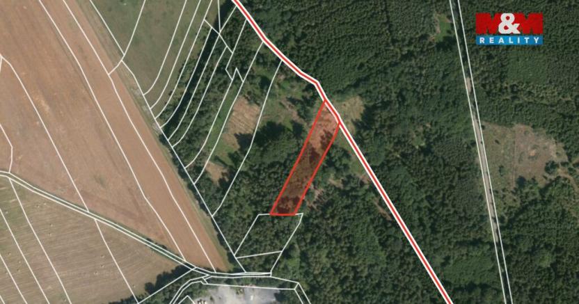 Prodej lesa, Ježovy - Trnčí, 39171 m2