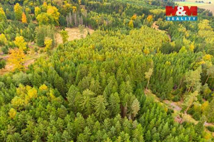 Prodej lesa, Černíkov, 12446 m2