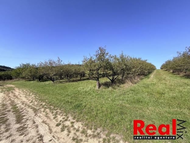 Prodej pozemku pro bydlení, Veverské Knínice, 1043 m2