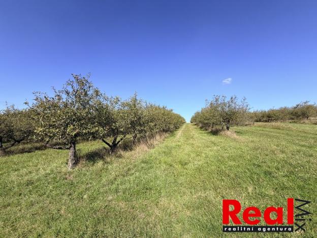 Prodej pozemku pro bydlení, Veverské Knínice, 1043 m2