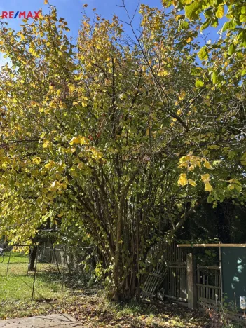 Prodej rodinného domu, Myslibořice, 65 m2