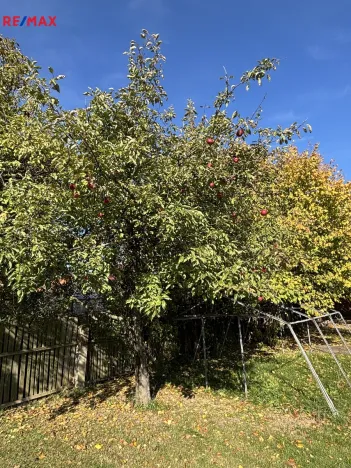 Prodej rodinného domu, Myslibořice, 65 m2