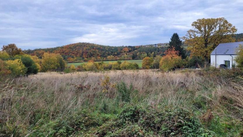 Prodej pozemku pro bydlení, Mníšek pod Brdy, Stříbrná Lhota, 8666 m2