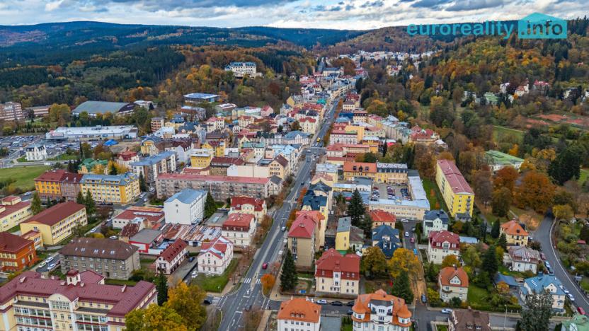 Prodej bytu 1+1, Mariánské Lázně, Hlavní třída, 35 m2