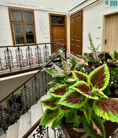 Pronájem bytu 1+1, Třebíč, Karlovo nám., 57 m2