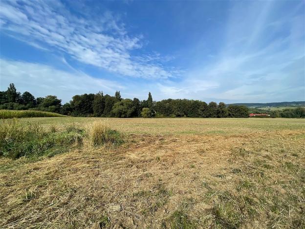 Prodej pozemku, Mirotice, 800 m2