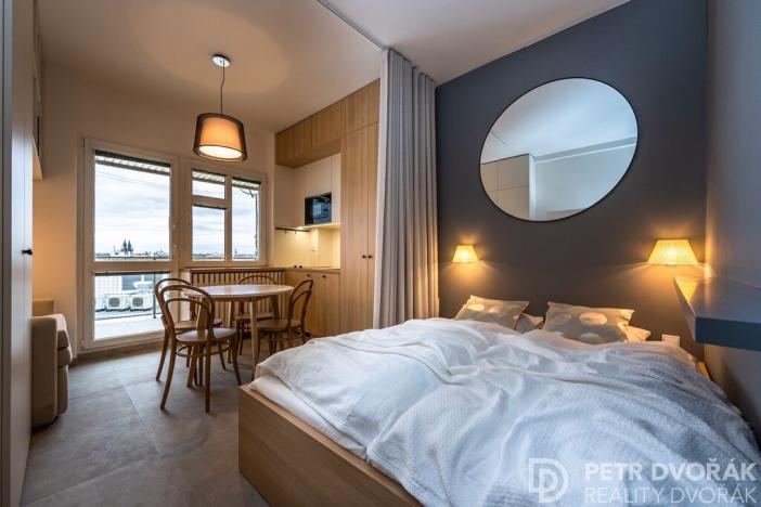 Prodej bytu 1+kk, Praha - Nové Město, Opletalova, 27 m2
