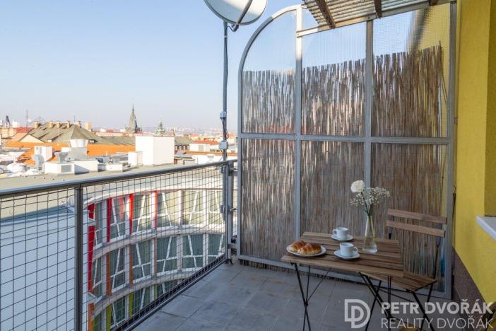 Prodej bytu 1+kk, Praha - Nové Město, Opletalova, 27 m2