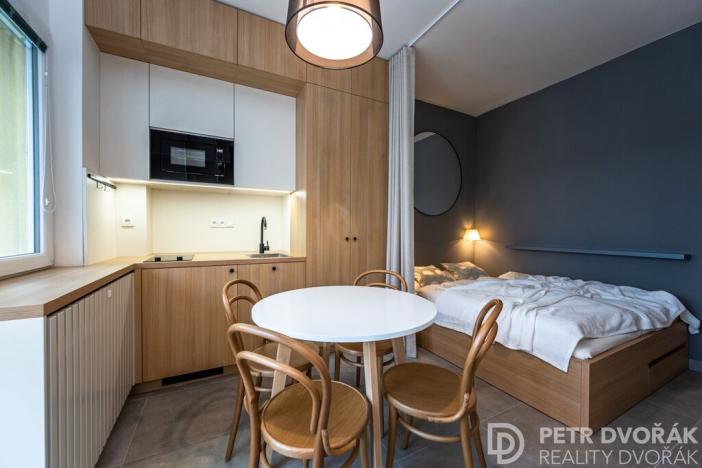 Prodej bytu 1+kk, Praha - Nové Město, Opletalova, 27 m2