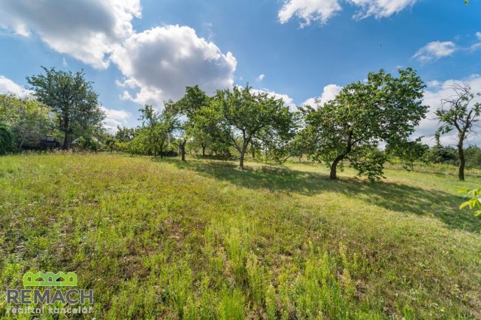 Prodej rodinného domu, Tučapy, 301 m2