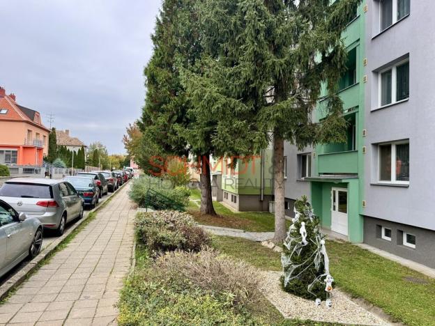 Pronájem bytu 1+1, Hustopeče, Školní, 35 m2