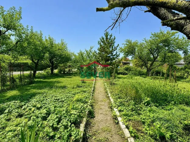 Prodej zahrady, Most, U Lesíka, 403 m2