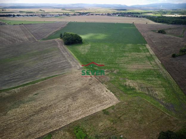 Prodej pole, Údlice, Kamenná cesta, 10482 m2