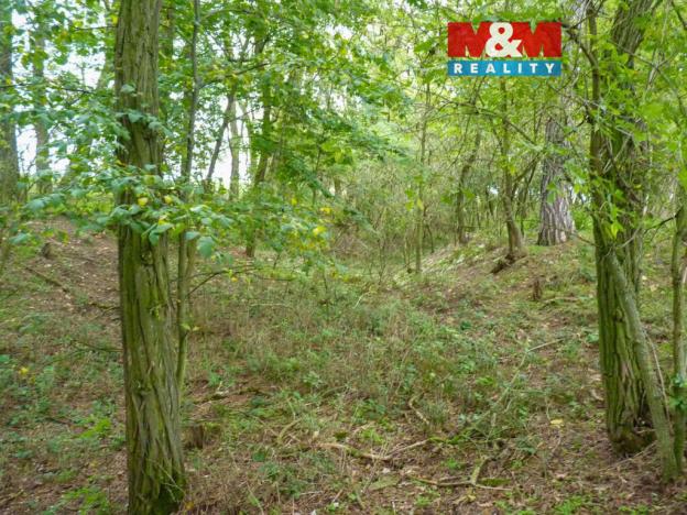 Prodej lesa, Dolní Habartice, 675 m2