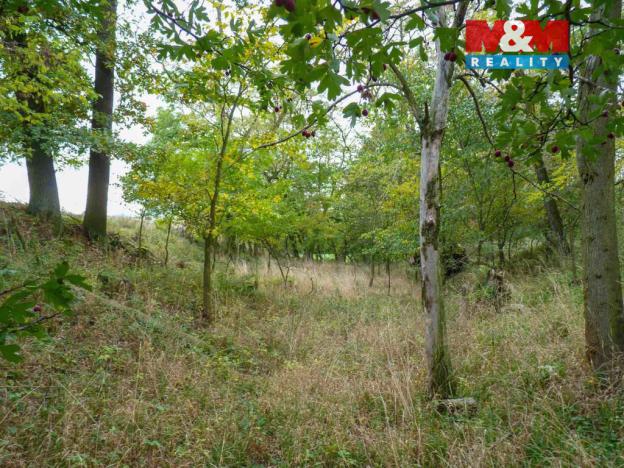 Prodej lesa, Dolní Habartice, 675 m2