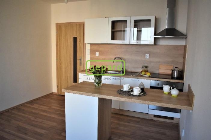 Pronájem bytu 1+kk, Brno - Žabovřesky, Voroněžská, 30 m2