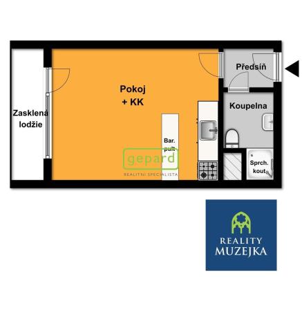 Pronájem bytu 1+kk, Brno - Žabovřesky, Voroněžská, 30 m2