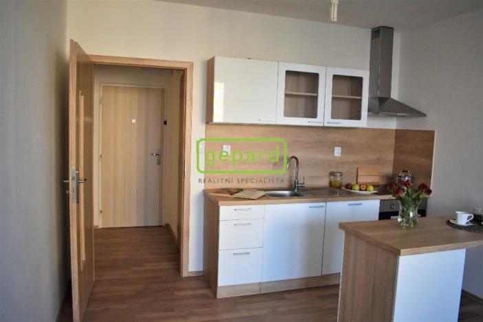 Pronájem bytu 1+kk, Brno - Žabovřesky, Voroněžská, 30 m2
