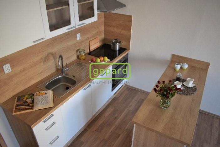 Pronájem bytu 1+kk, Brno - Žabovřesky, Voroněžská, 30 m2