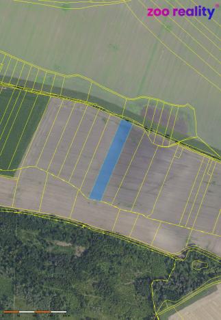 Prodej pole, Budiměřice, 10553 m2