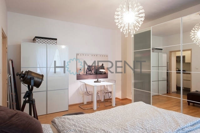 Pronájem bytu 1+1, Praha - Nusle, Na dolinách, 33 m2