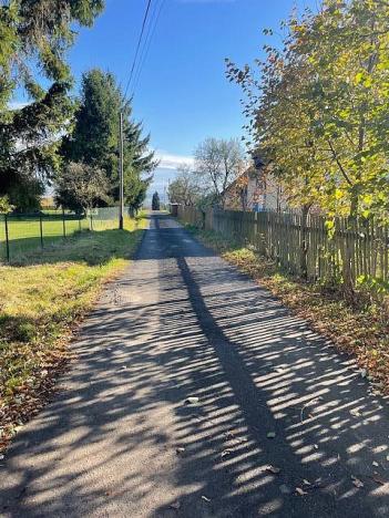 Prodej zahrady, Hrádek nad Nisou - Dolní Sedlo, Horská, 955 m2