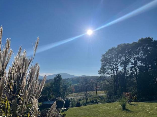 Prodej zahrady, Hrádek nad Nisou - Dolní Sedlo, Horská, 955 m2