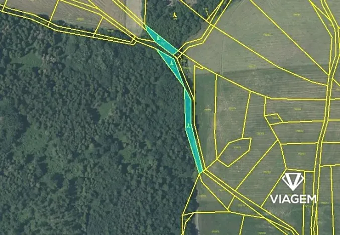 Prodej podílu lesa, Fulnek, 7911 m2