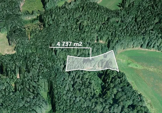 Prodej podílu lesa, Studnice, 2072 m2