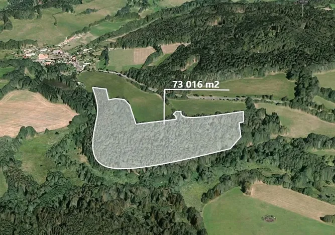 Prodej podílu lesa, Čmelíny, 7020 m2
