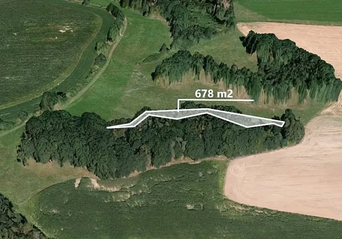 Prodej lesa, Zahořany, 678 m2