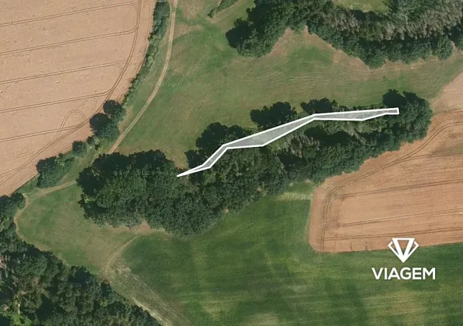 Prodej lesa, Zahořany, 678 m2