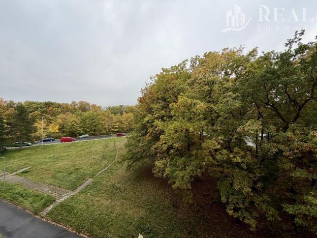 Pronájem bytu 3+1, Jirkov, Mládežnická, 67 m2