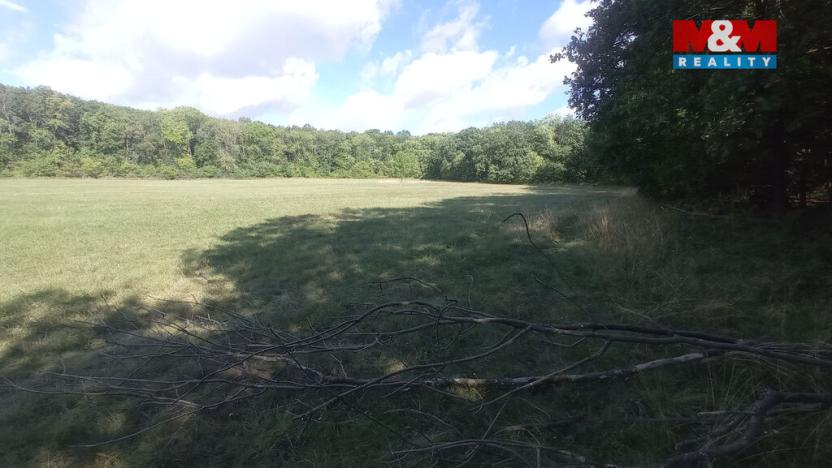 Prodej louky, Jenčice, 16692 m2