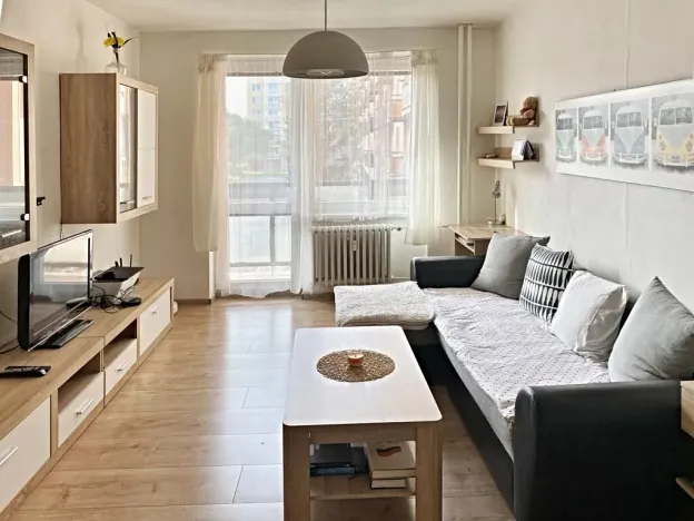 Pronájem bytu 2+1, Brno, Palackého třída, 50 m2