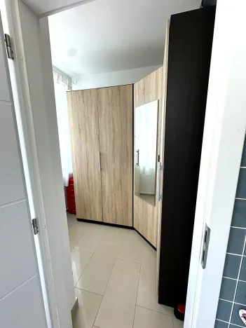 Pronájem bytu 2+1, Brno, Palackého třída, 50 m2