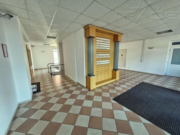 Prodej obchodního prostoru, Znojmo, Vídeňská třída, 5100 m2