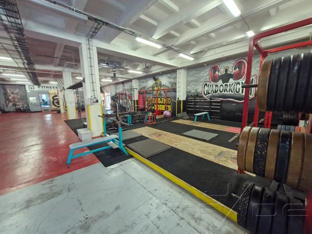 Prodej obchodního prostoru, Znojmo, Vídeňská třída, 5100 m2