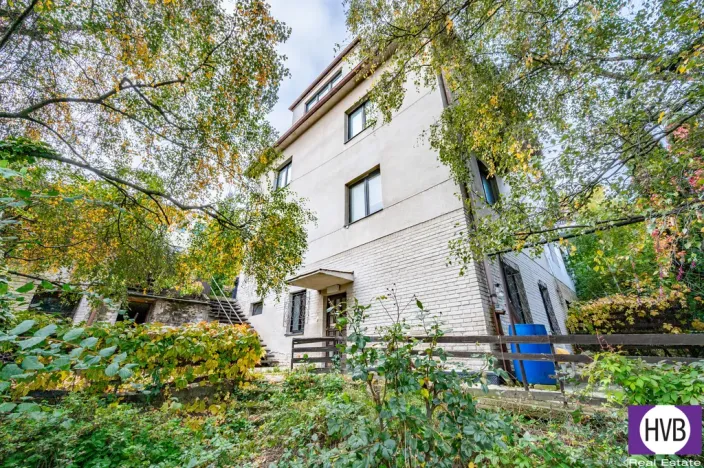 Prodej vícegeneračního domu, Praha, Na Truhlářce, 201 m2
