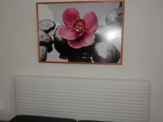 Pronájem bytu 2+1, Česká Lípa, Mlýnská, 48 m2