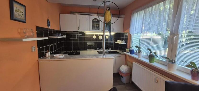 Pronájem bytu 3+1, Česká Lípa, Újezd, 75 m2