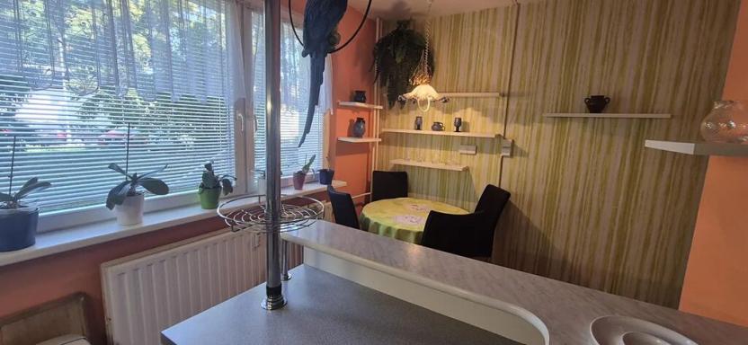 Pronájem bytu 3+1, Česká Lípa, Újezd, 75 m2