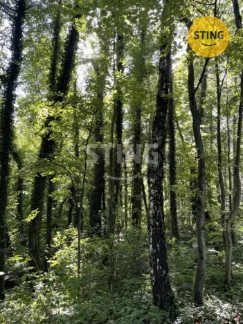 Prodej pozemku pro bydlení, Hnojník, 26902 m2