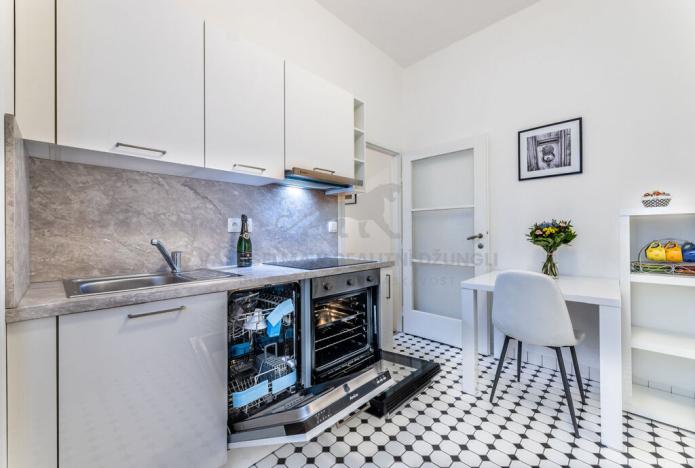 Pronájem bytu 1+kk, Praha - Staré Město, Revoluční, 37 m2