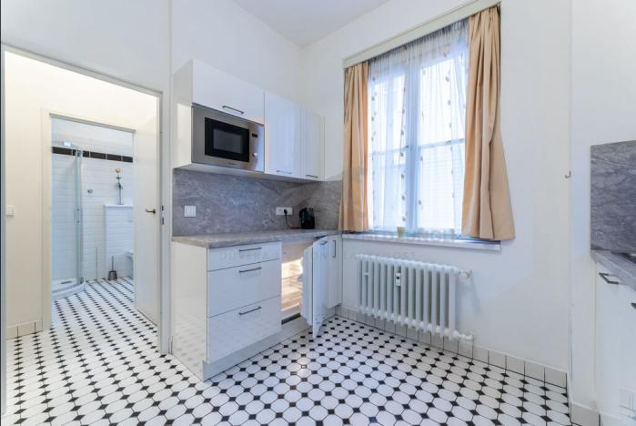 Pronájem bytu 1+kk, Praha - Staré Město, Revoluční, 37 m2