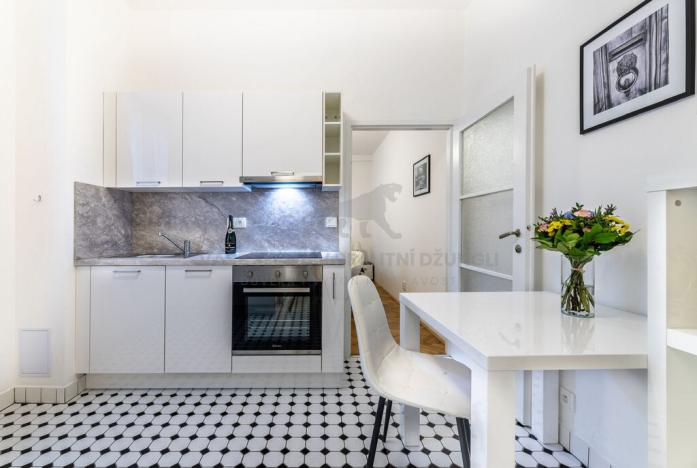 Pronájem bytu 1+kk, Praha - Staré Město, Revoluční, 37 m2